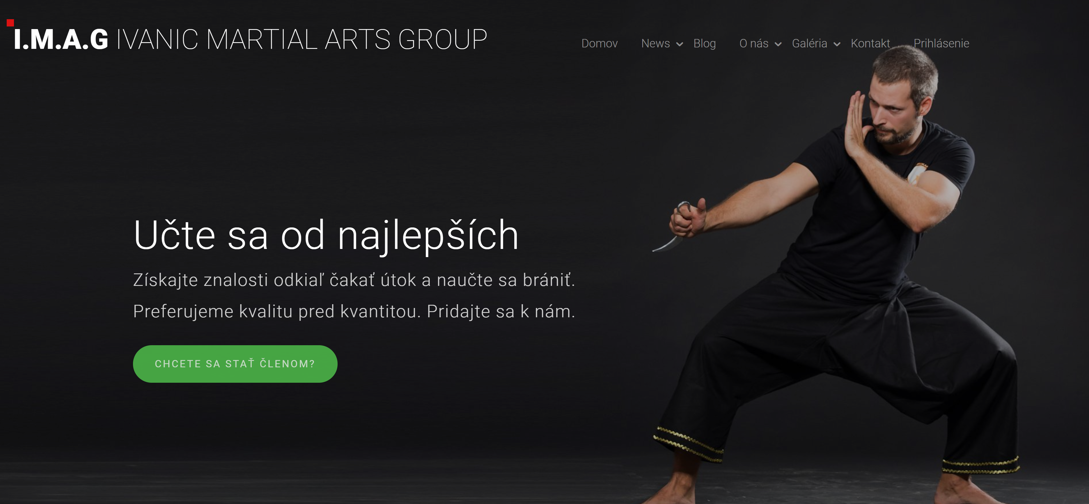 Ivanic Martial Arts Group
